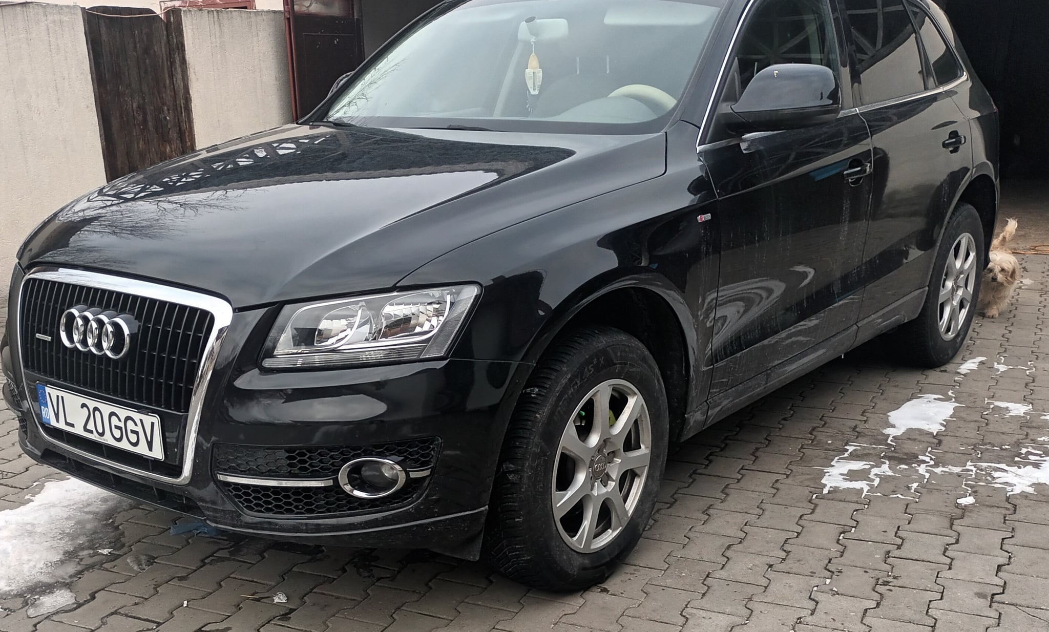 AUDI Q5 2010 — imagine 1