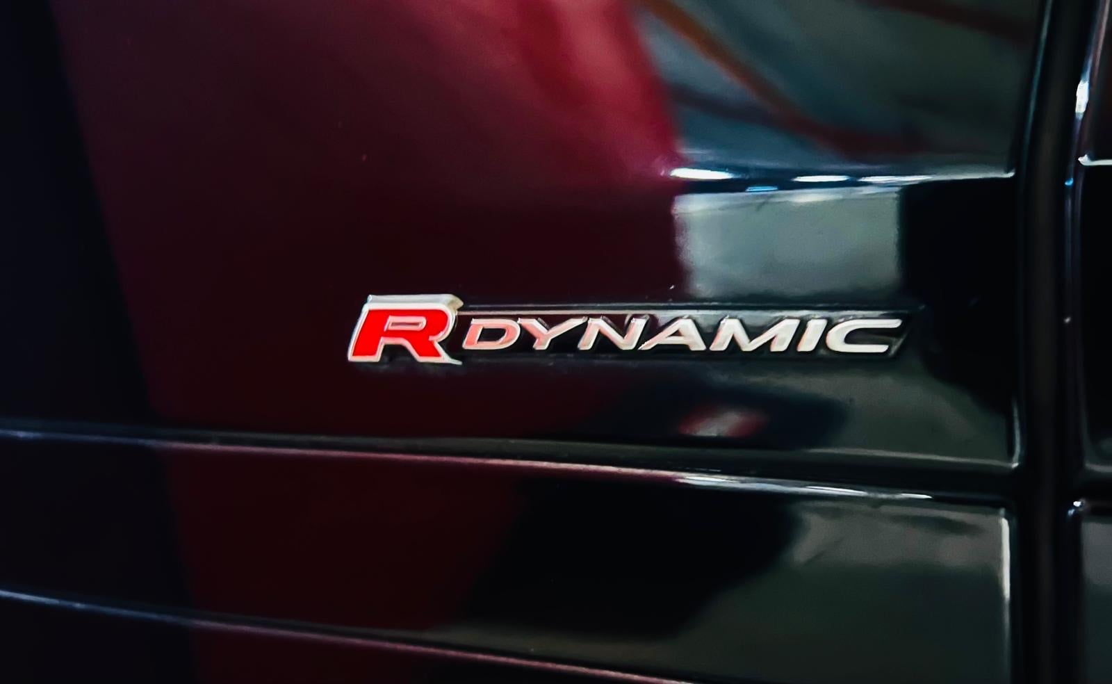ROVER 200 2020 — imagine 5